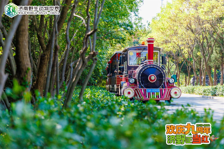 濟南野生動物(wù)世界歡慶九周年 濟野正當紅